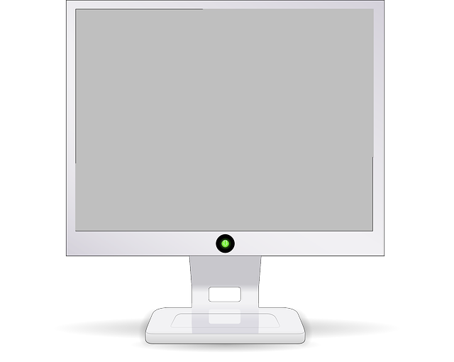 monitor